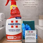 Scavi E Chiesa - In Centro Pensionat 3*